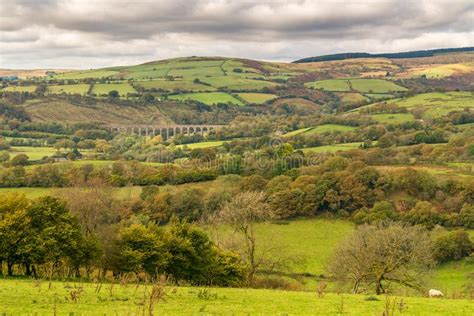 Landscape Near Cynghordy, Wales, UK Stock Photo - Image of countryside ...