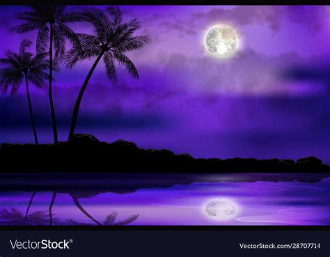 Tropical beach at night Royalty Free Vector Image