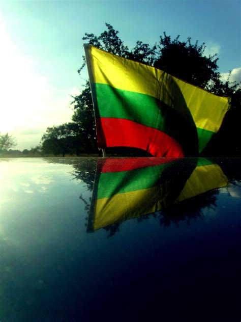 Country Flag Meaning: Lithuania Flag Pictures