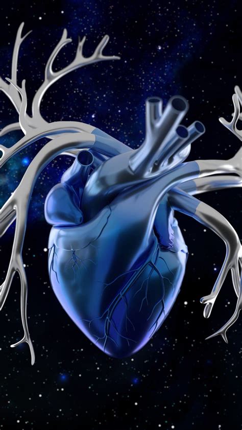 Medical Illustration & Animation on Twitter: "Stylized Heart Animation ...