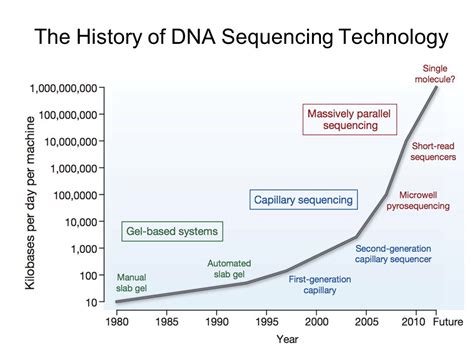 DNA Sequencing, History and Application