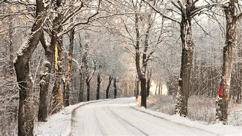 Winter-Prognose 2022: Was wir im November bereits über die kalte Jahreszeit vorhersagen können ...