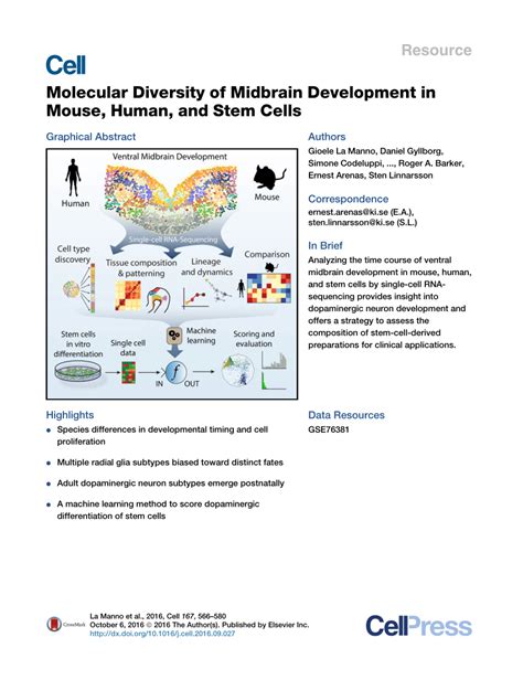 (PDF) Molecular Diversity of Midbrain Development in Mouse, Human, and Stem Cells