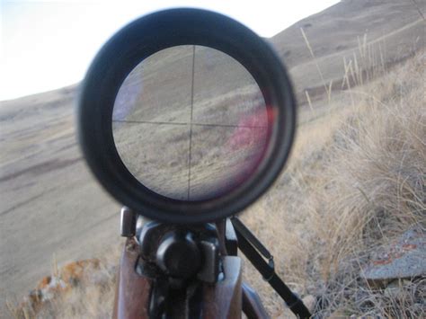 5 Best Scopes for .30-30 Lever Action Rifles — Marlin, Winchester, Etc.