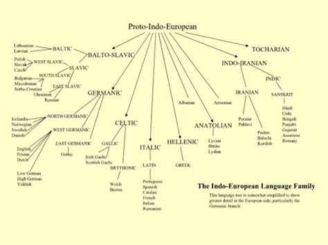 Indo-European Language Tree