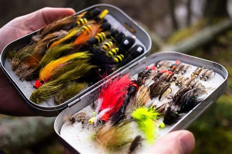 The Best Fly Boxes on the Market (2023 Buyer's Guide) - Into Fly Fishing