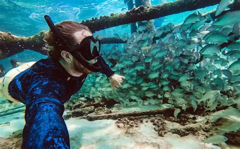 #1 Best Snorkeling in Islamorada, Florida Keys - Robbie's