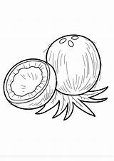 Coloring Pages  Coconut Fruit For Kids sketch template