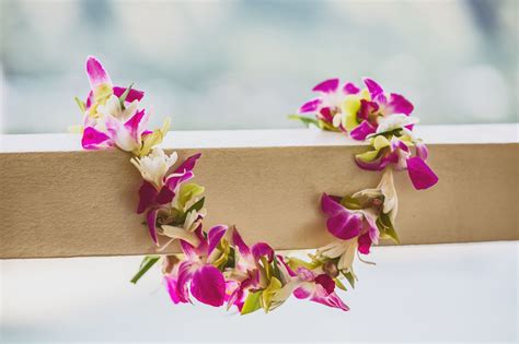 Graduation Flower Leis Meaning | Best Flower Site