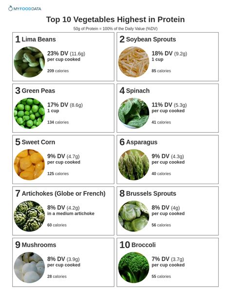 Vegetables high in protein low carbs - Food Keg