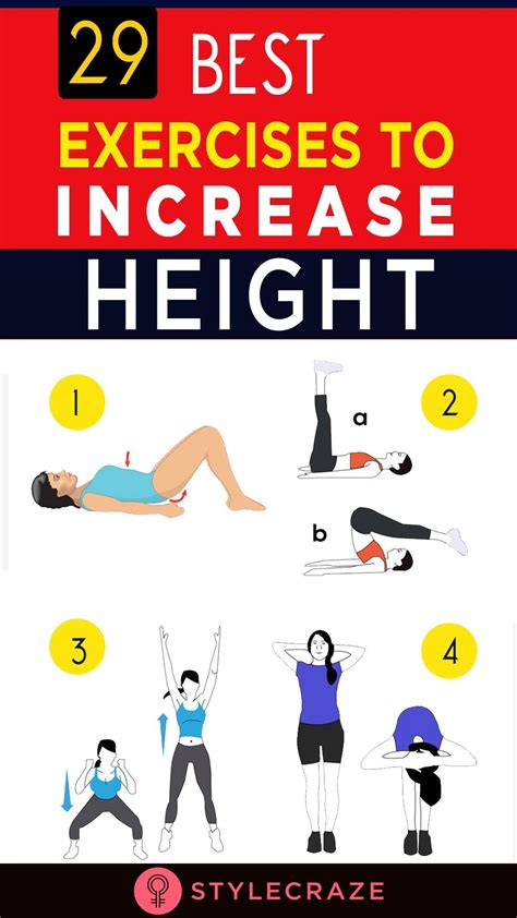 29 Best Exercises To Increase Height | How to grow taller, Increase height exercise, Get taller ...