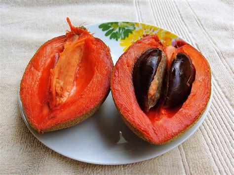 Sapote | Local Tropical Fruit From Mexico