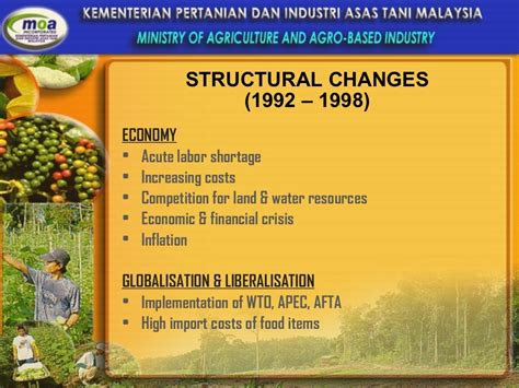 Overview Of Agriculture Sector In Malaysia