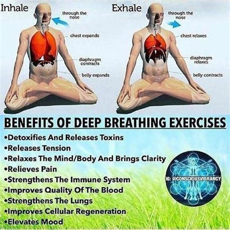 Deep Breathing Yoga Exercises | Yoga breathing techniques, Yoga breathing, Yoga benefits