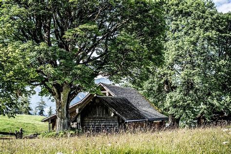 Wooden Hut Trees Landscape - Free photo on Pixabay