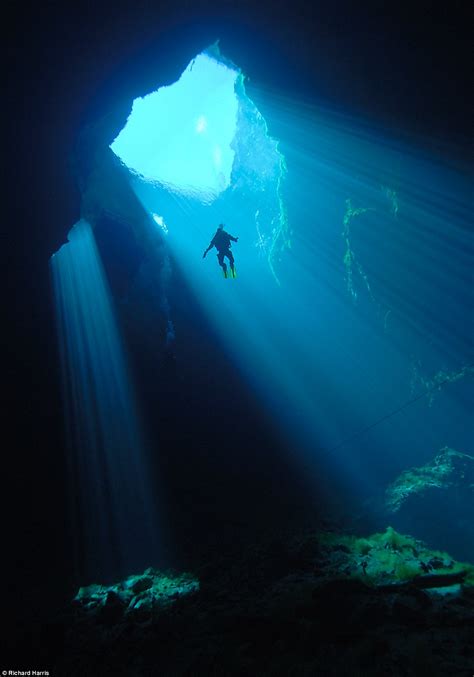 Spectacular images of divers exploring water-filled cavern hidden beneath Mount Gambier | Daily ...