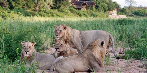 Jock Safari Lodge | Kruger National Park | South Africa