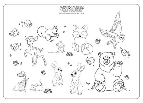 Fondos de Bosques para colorear - Animales para Colorear