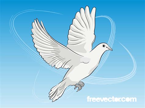 Dove Vector Vector Art & Graphics | freevector.com