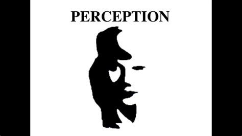 Perception vs Reality: What Is Truth? - the Conscious Vibe