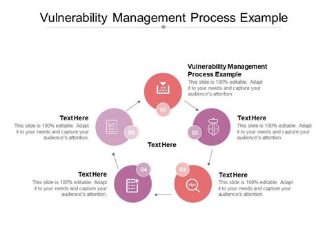 Vulnerability Management Process Example Ppt PowerPoint Presentation ...