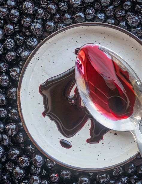 Aronia Juice Demystified: How to Make it, Use it, and More - Forager | Chef