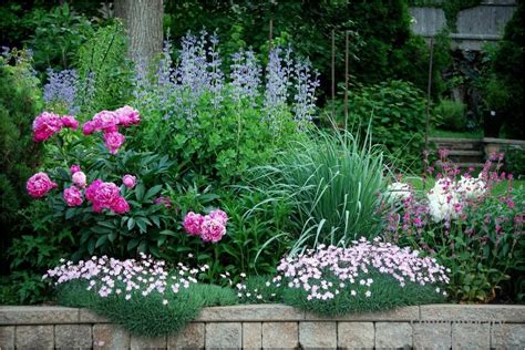 Perennial Flower Bed Ideas For Full Sun