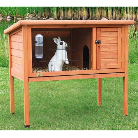 Rabbit Hutch | Best Information about Indoor & Outdoor Hutch