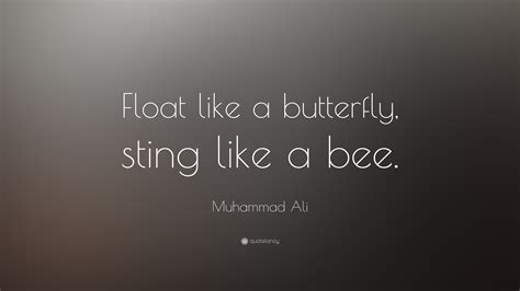 Muhammad Ali Quotes Wallpapers HD | PixelsTalk.Net