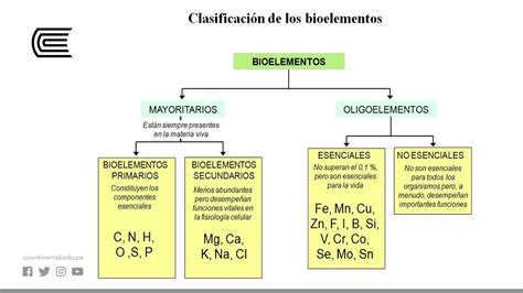 Electrolitos - YouTube