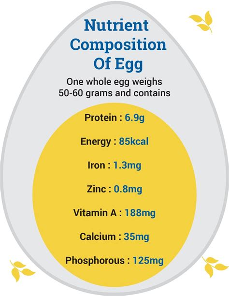 Health Benefits of Egg for Children, Nutritional Value and Facts of Egg ...