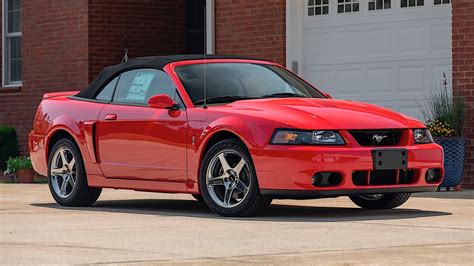 2004 Ford Mustang SVT Cobra Is One Rare Breed of Terminator - autoevolution