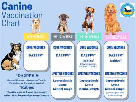 DOG VACCINATION INFORMATION — Seaside Home Veterinary Care