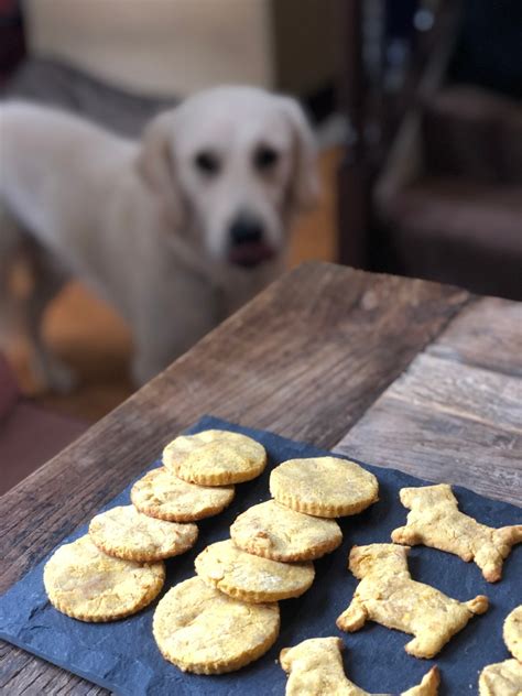 Grain-Free Dog Treats – A Bee Bakes