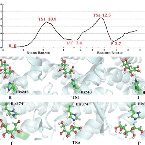 The proposed mechanisms of the epimerization reactions by RaCE and... | Download Scientific Diagram