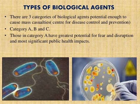 Biological disaster tam 2014-12