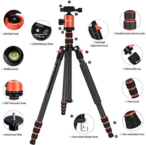 Best Tripods for Wildlife Photography (Top 6 Options) - Wildlife Informer