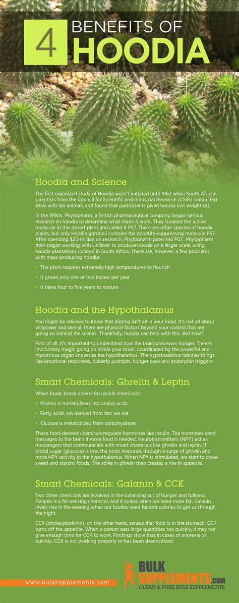 Hoodia Benefits, Side Effects & Dosage