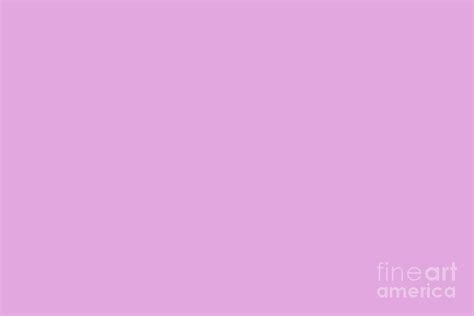 Dark Pastel Pink Purple Solid Color From The Crayon Box Inspired by ...