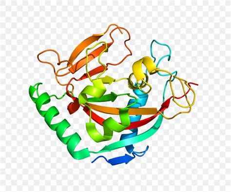 Protein Structure Gene, PNG, 1200x1000px, Watercolor, Cartoon, Flower, Frame, Heart Download Free