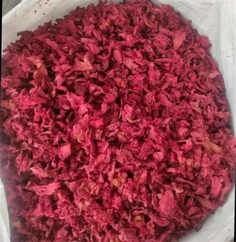 Buransh Dried Flower at best price in New Delhi by R.R. Sales Corporation | ID: 2854270669930