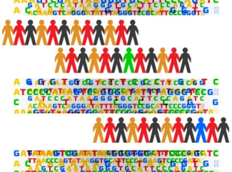 1,092 genomes and counting | Broad Institute