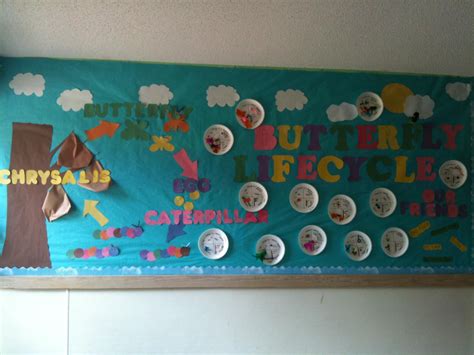 butterfly lifecycle bulletin board | Creative classroom, Butterfly life cycle bulletin board ...