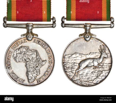 The Africa Service Medal: South African campaign medal for service during the Second World War ...