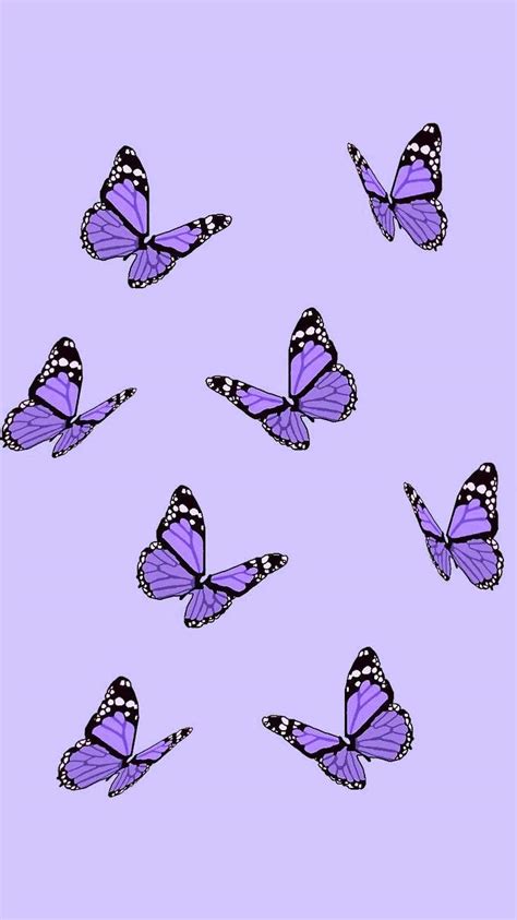 Purple Butterfly Wallpaper - iXpap