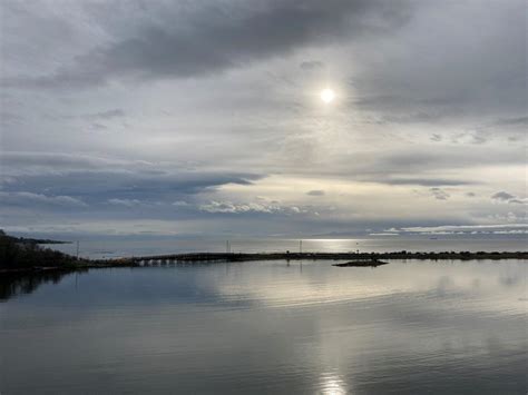 Esquimalt Lagoon: Bird Sanctuary and Driftwood Sculpture Beach | Routinely Nomadic