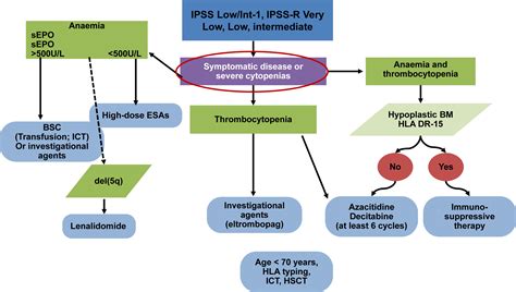 First-line Therapeutic Strategies for Myelodysplastic Syndromes - Clinical Lymphoma, Myeloma and ...