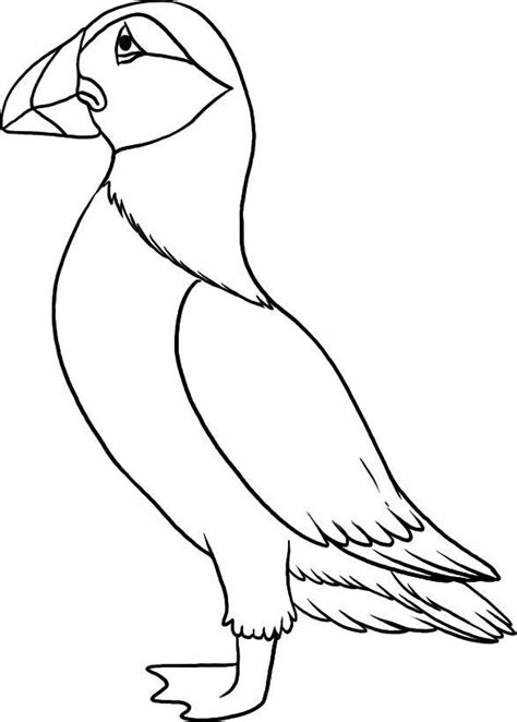 Top 10 Puffin Coloring Pages For Toddlers