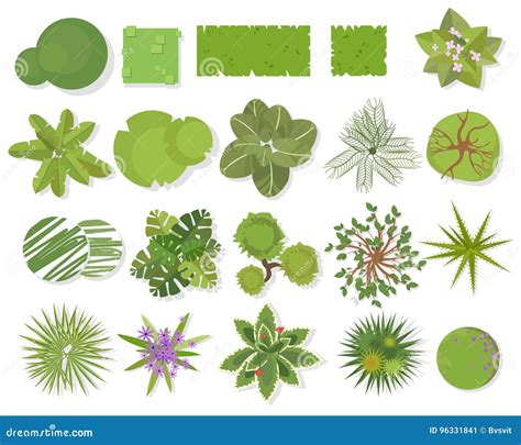 Trees Top View.Different Trees, Plants Vector Set For Architectural Or ...