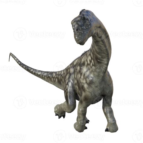 Argentinosaurus dinosaur isolated 3d render 18875699 PNG